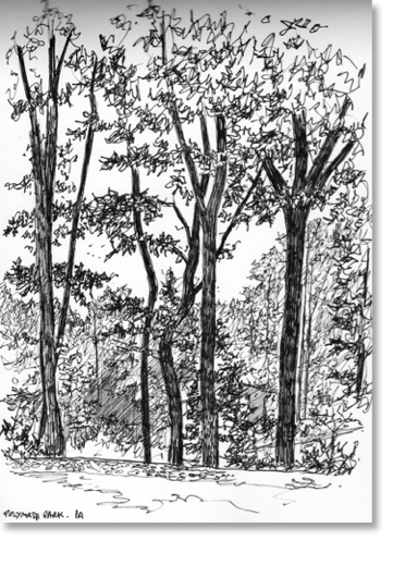 Polymath Park, Pennsylvania
14 x 20 cm
