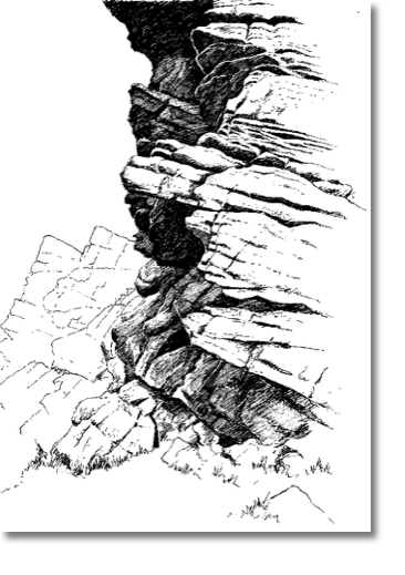 The Roaches
14 x 20 cm