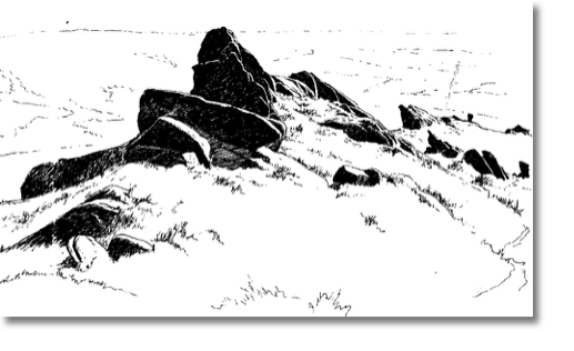 The Roaches
20 x 14 cm